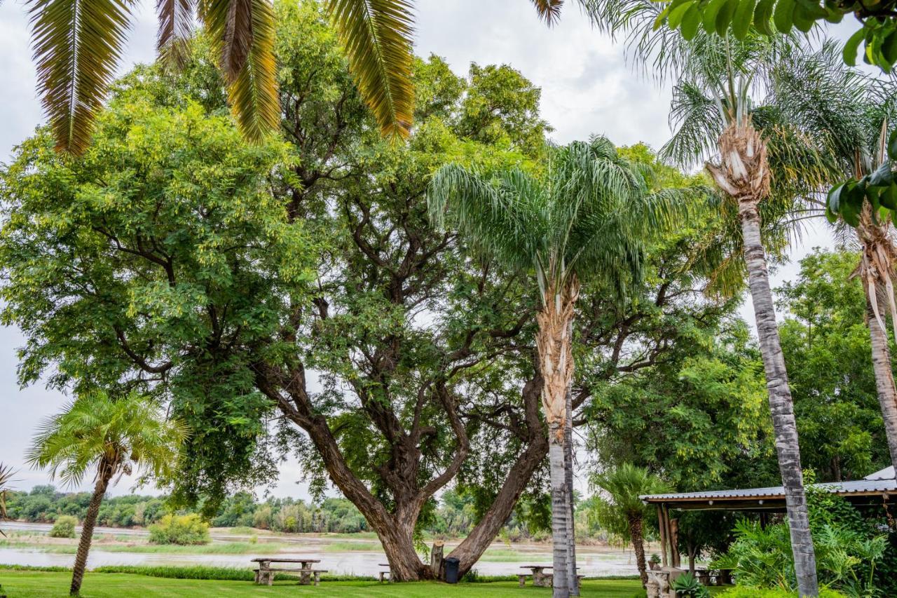 Riverbank Lodge Upington Bagian luar foto